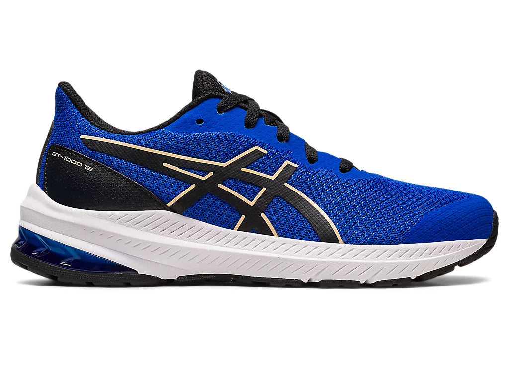 Asics Gt-1000 12 GS shoe illusion blue/black